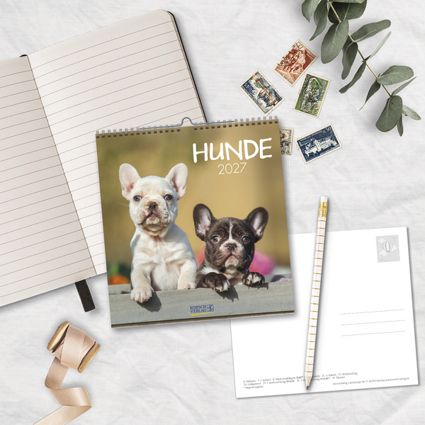 Weitere Ansicht: Hunde 2027