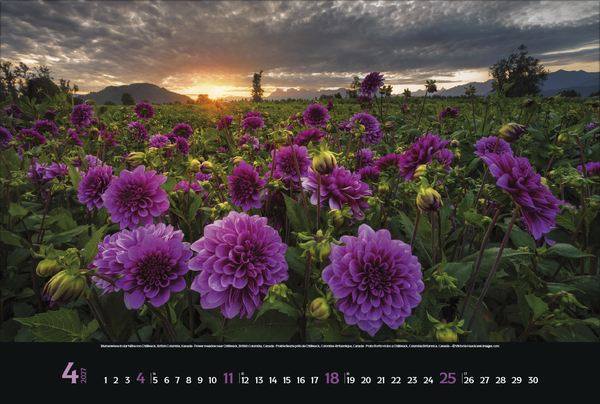 Weitere Ansicht: Spirit of Earth 2027