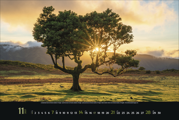 Weitere Ansicht: Spirit of Earth 2027