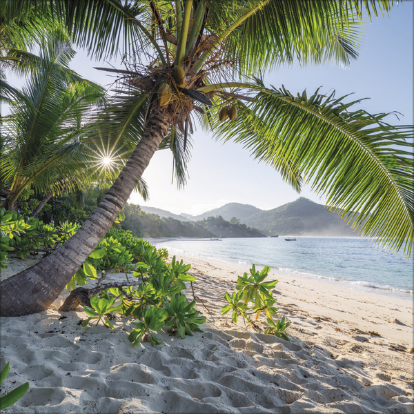 Weitere Ansicht: Trauminseln 2027