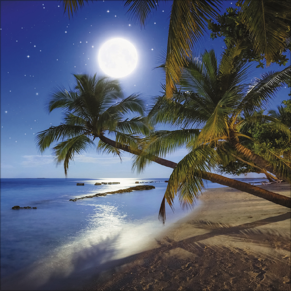 Weitere Ansicht: Trauminseln 2027