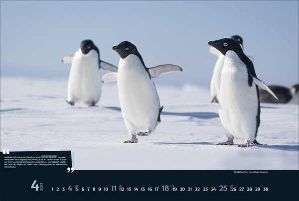 Weitere Ansicht: Expedition Antarktis 2027