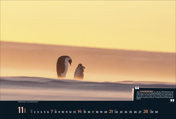 Weitere Ansicht: Expedition Antarktis 2027