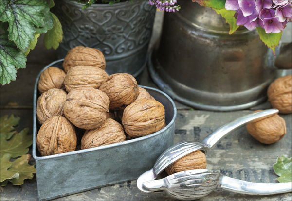 Weitere Ansicht: Küchenkalender 2027