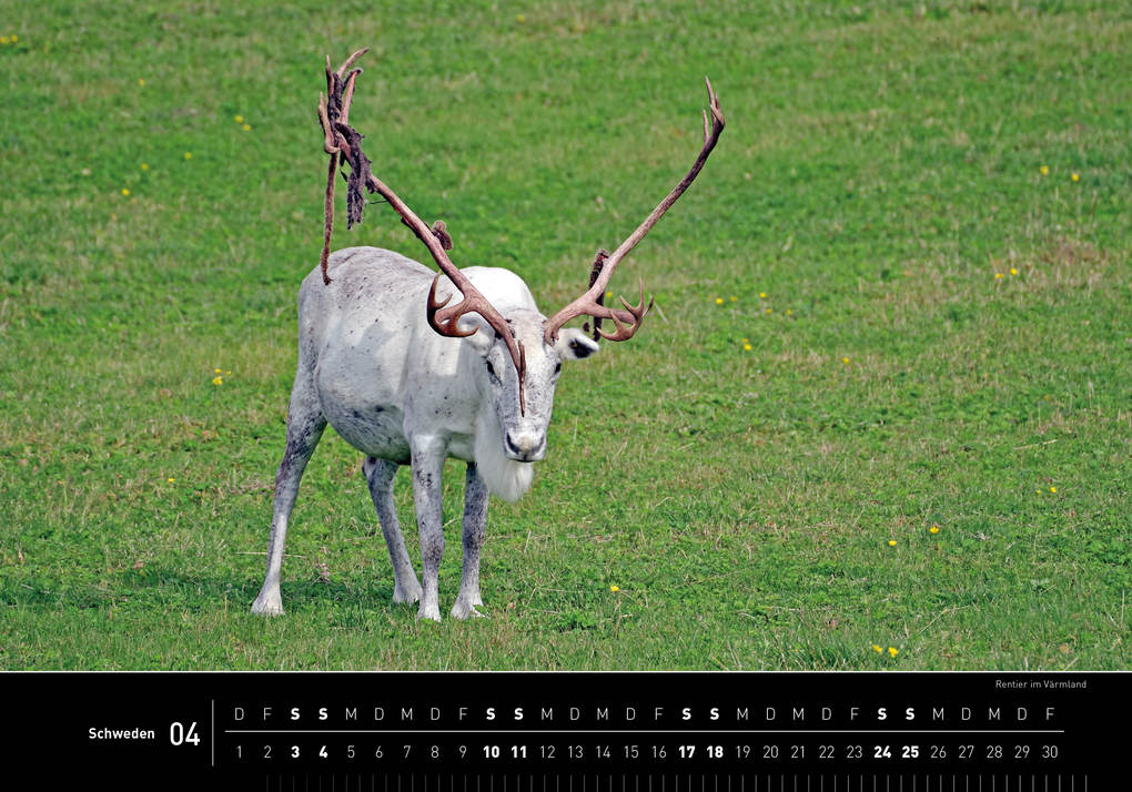 Weitere Ansicht: Schweden Premiumkalender 2027