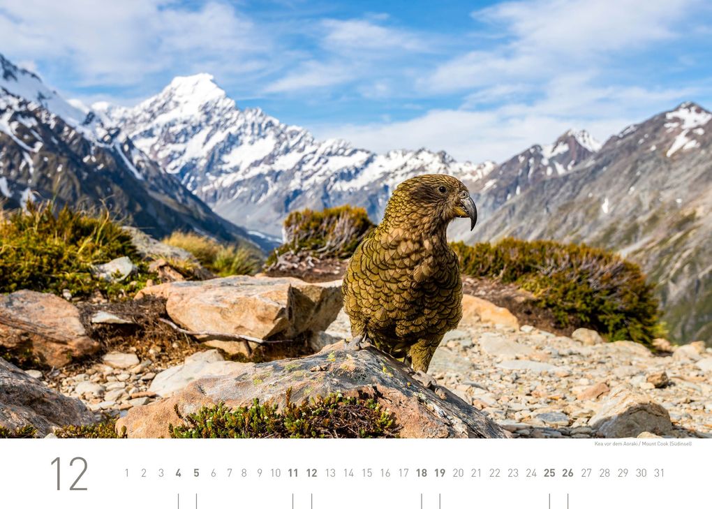 Weitere Ansicht: Neuseeland Exklusivkalender 2027