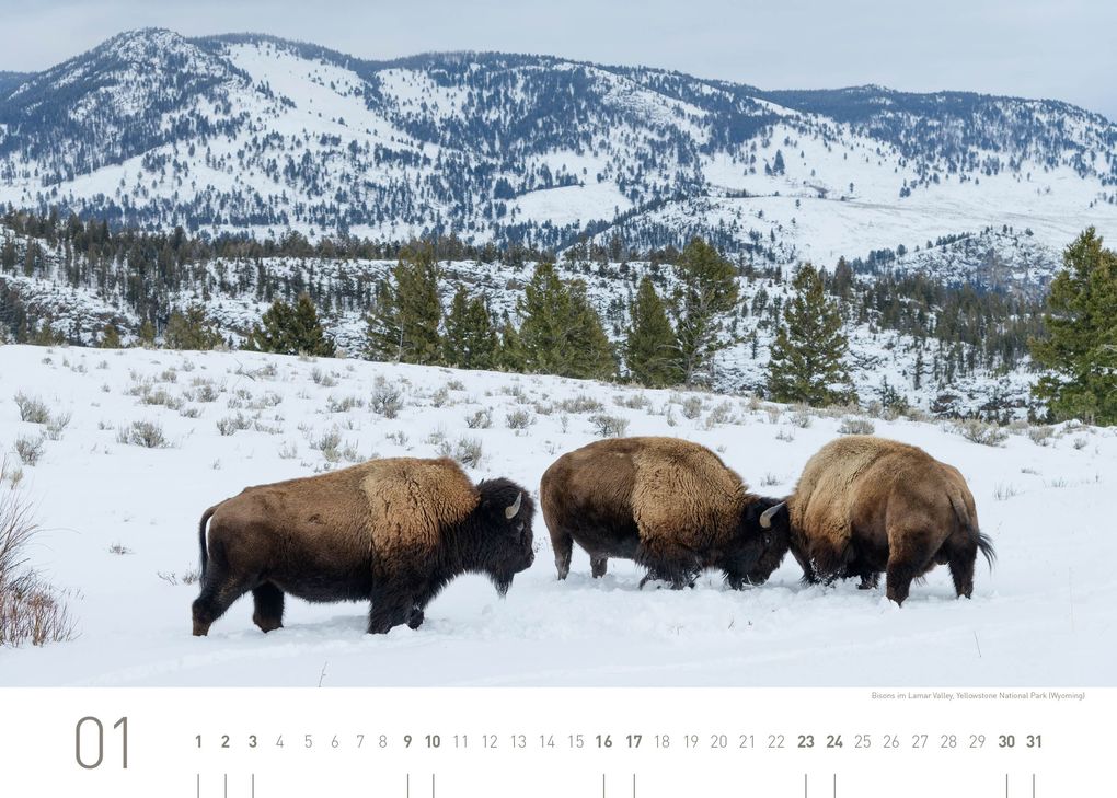Weitere Ansicht: USA Exklusivkalender 2027