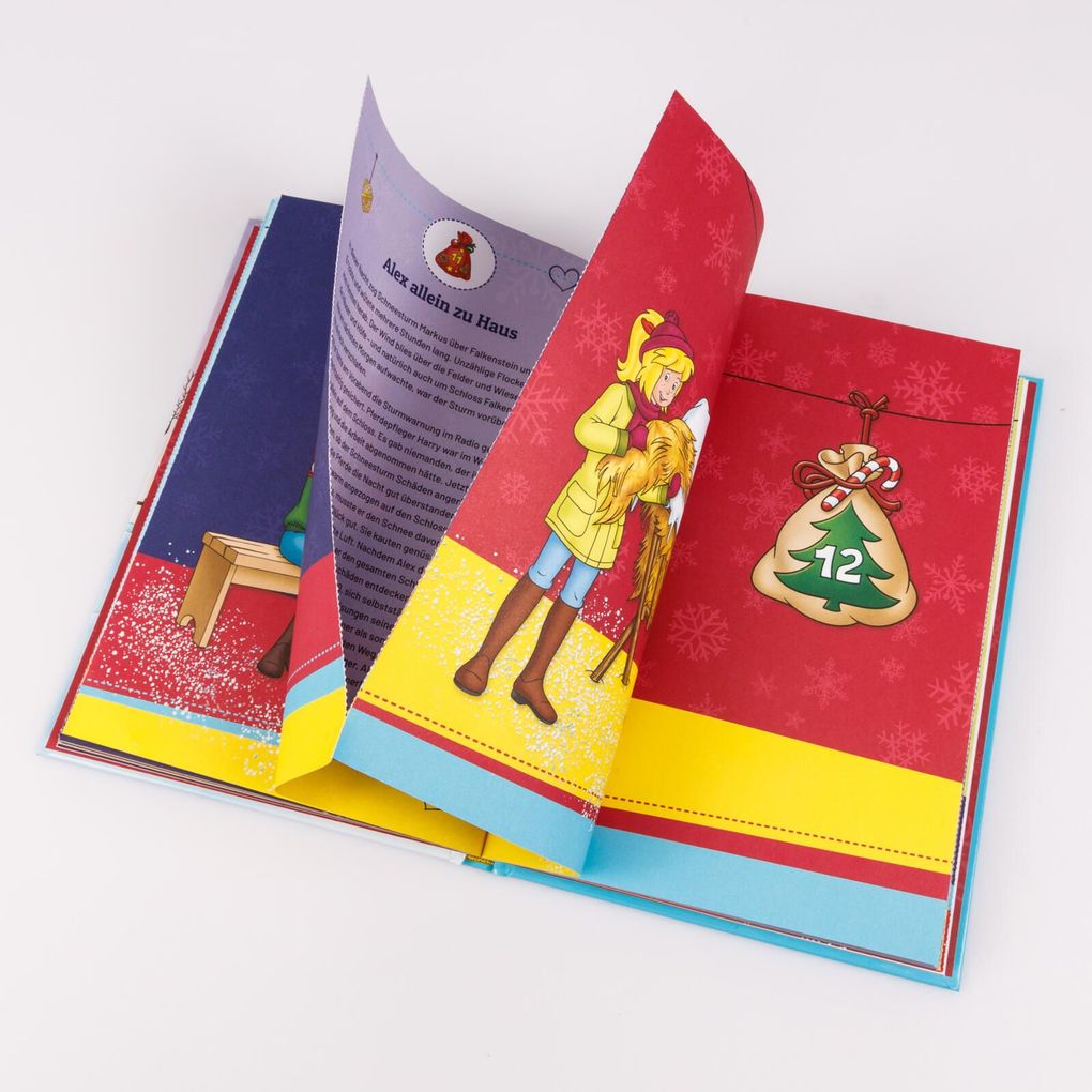 Weitere Ansicht: Bibi & Tina: Stürmische Weihnachten