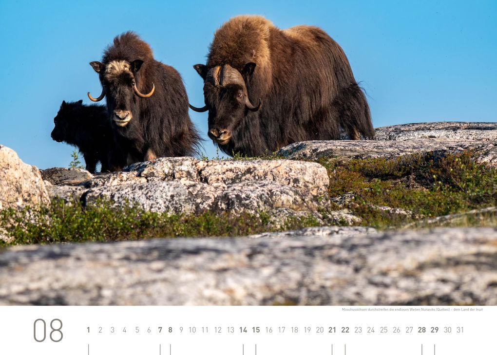 Weitere Ansicht: Kanada Exklusivkalender 2027