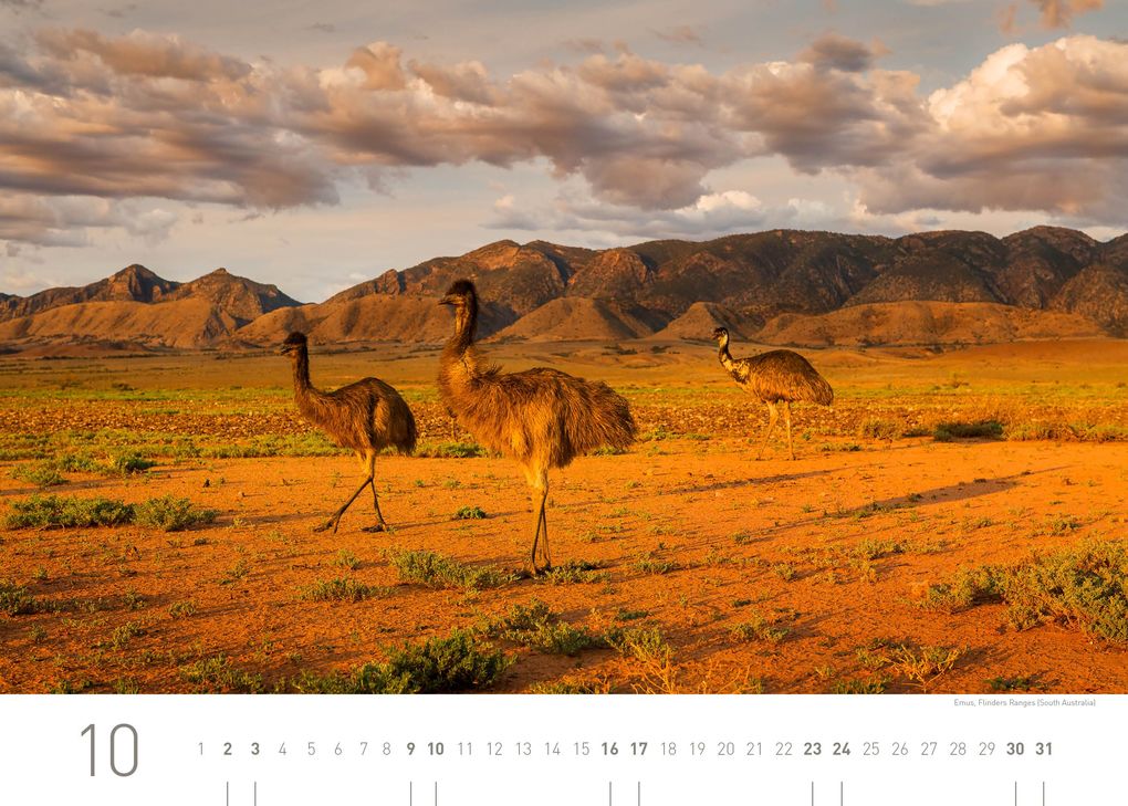 Weitere Ansicht: Australien Exklusivkalender 2027