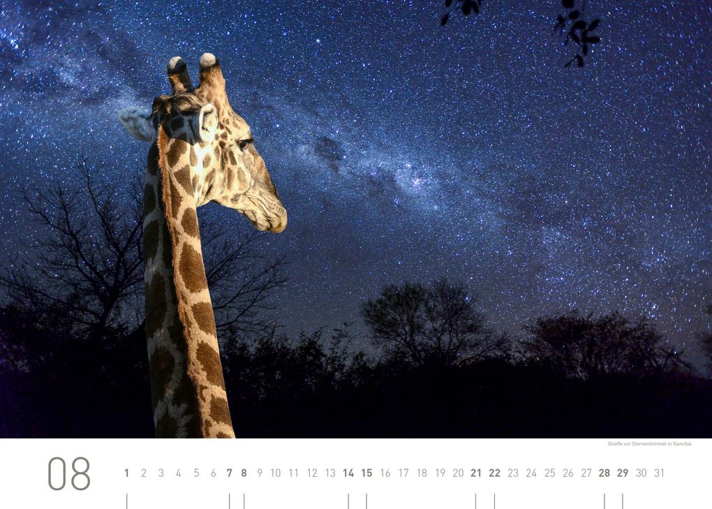 Weitere Ansicht: Namibia Exklusivkalender 2027