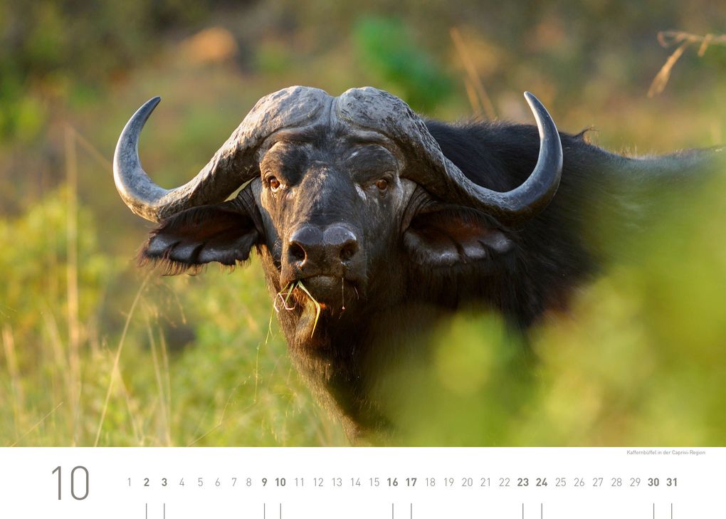 Weitere Ansicht: Namibia Exklusivkalender 2027