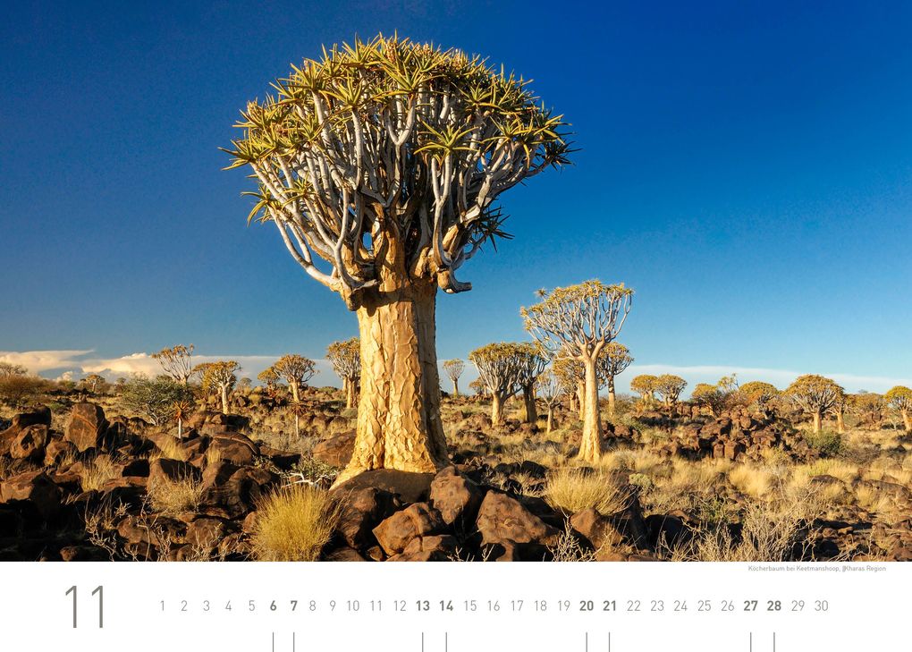 Weitere Ansicht: Namibia Exklusivkalender 2027
