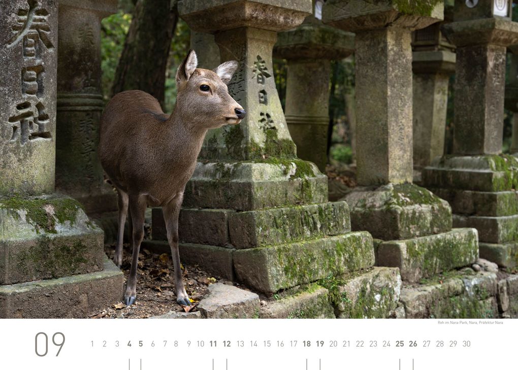 Weitere Ansicht: Japan Exklusivkalender 2027
