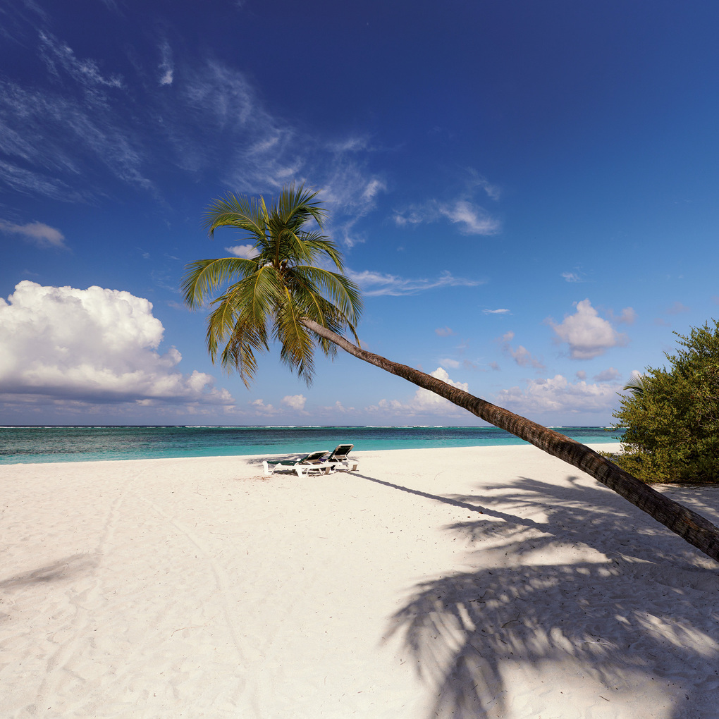 Weitere Ansicht: Trauminseln / Dream Islands 2027