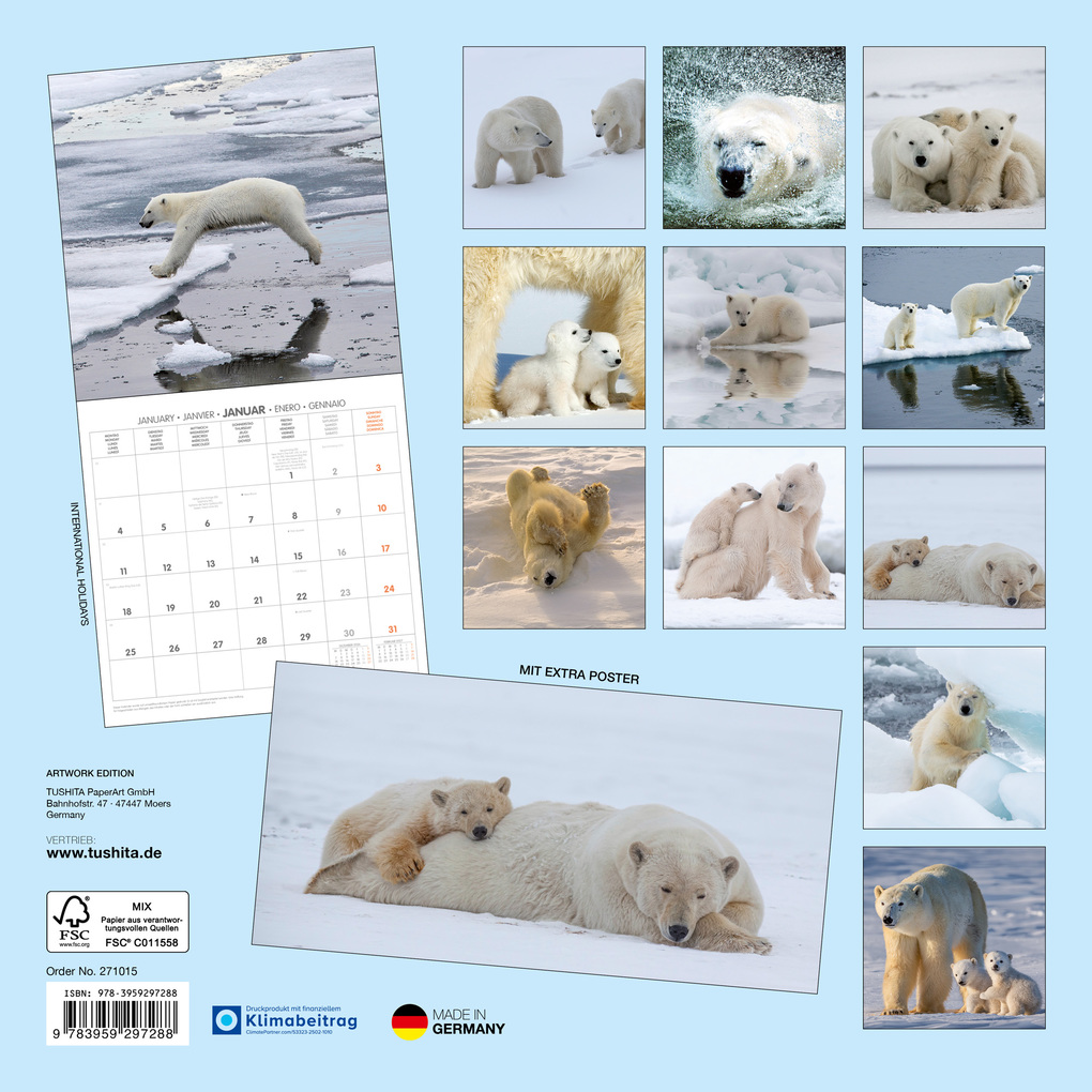 Weitere Ansicht: Eisbären / Polar Bears 2027