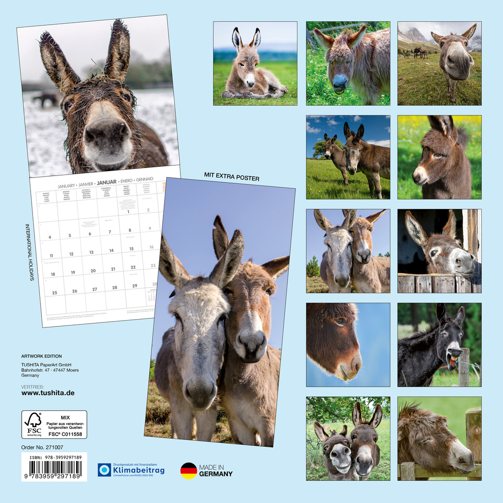 Weitere Ansicht: Esel / Donkeys 2027