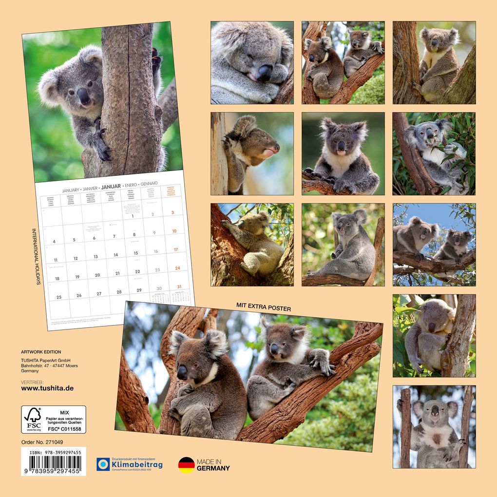 Weitere Ansicht: Koalas 2027