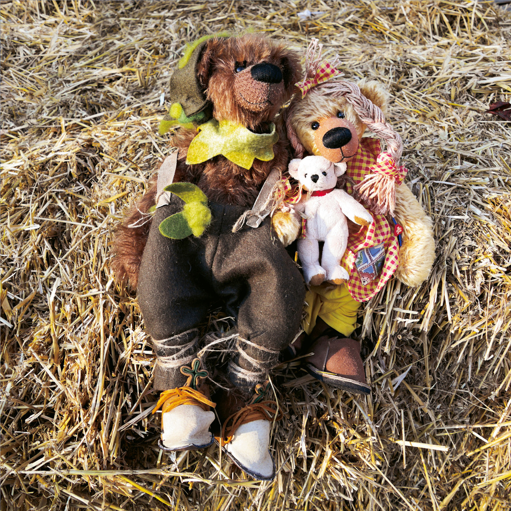 Weitere Ansicht: Teddys World 2027