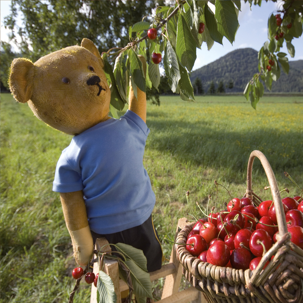 Weitere Ansicht: Teddys World 2027