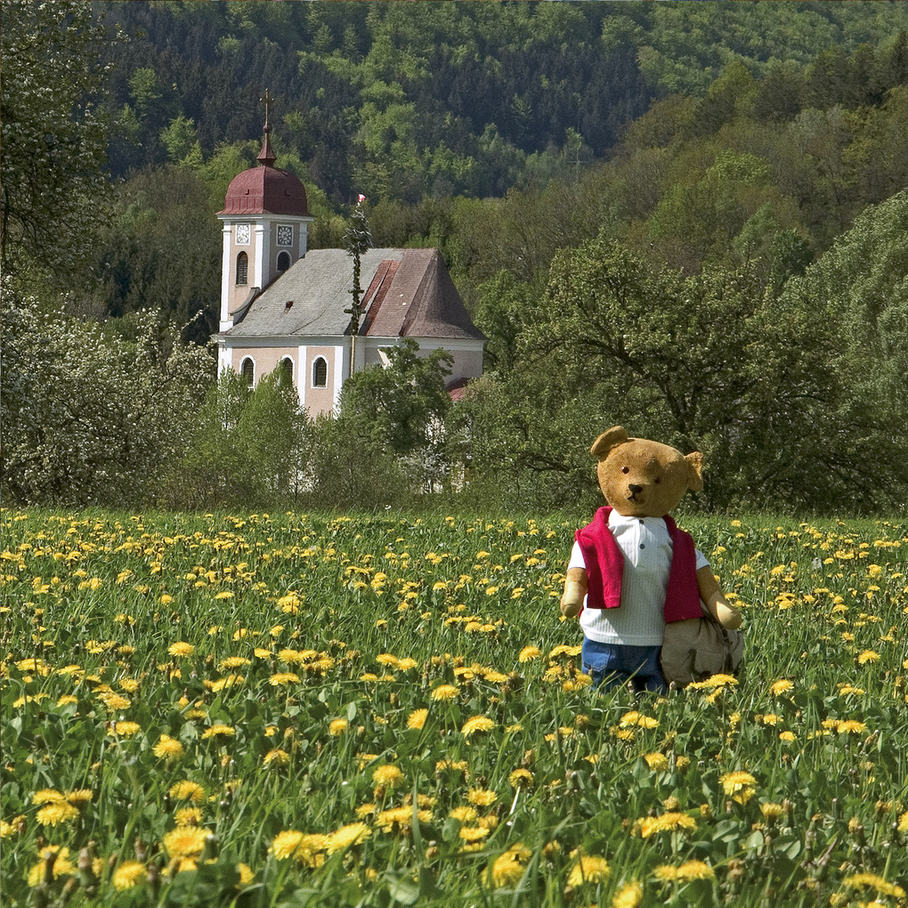 Weitere Ansicht: Teddys World 2027