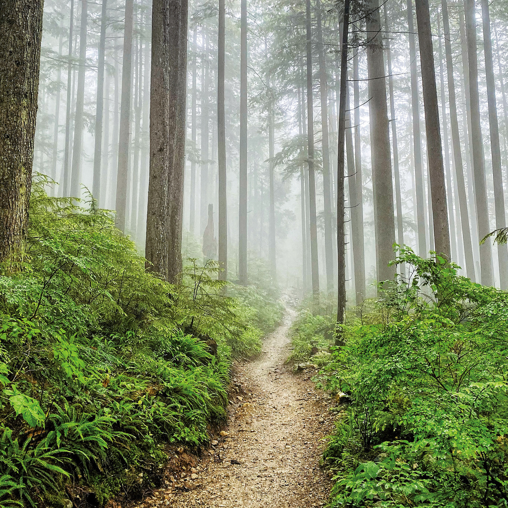 Weitere Ansicht: Unser Wald / Forest Nature 2027