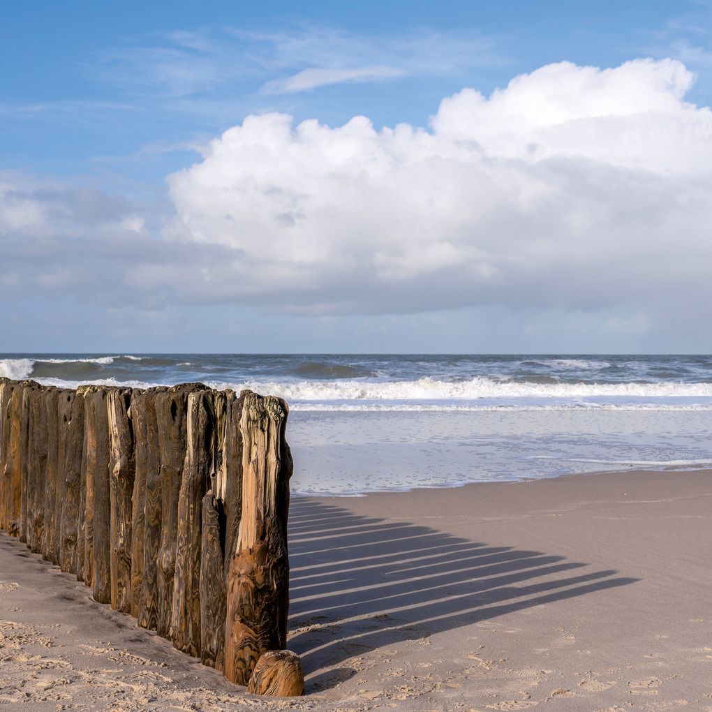 Weitere Ansicht: Nordsee / Northern Sea 2027