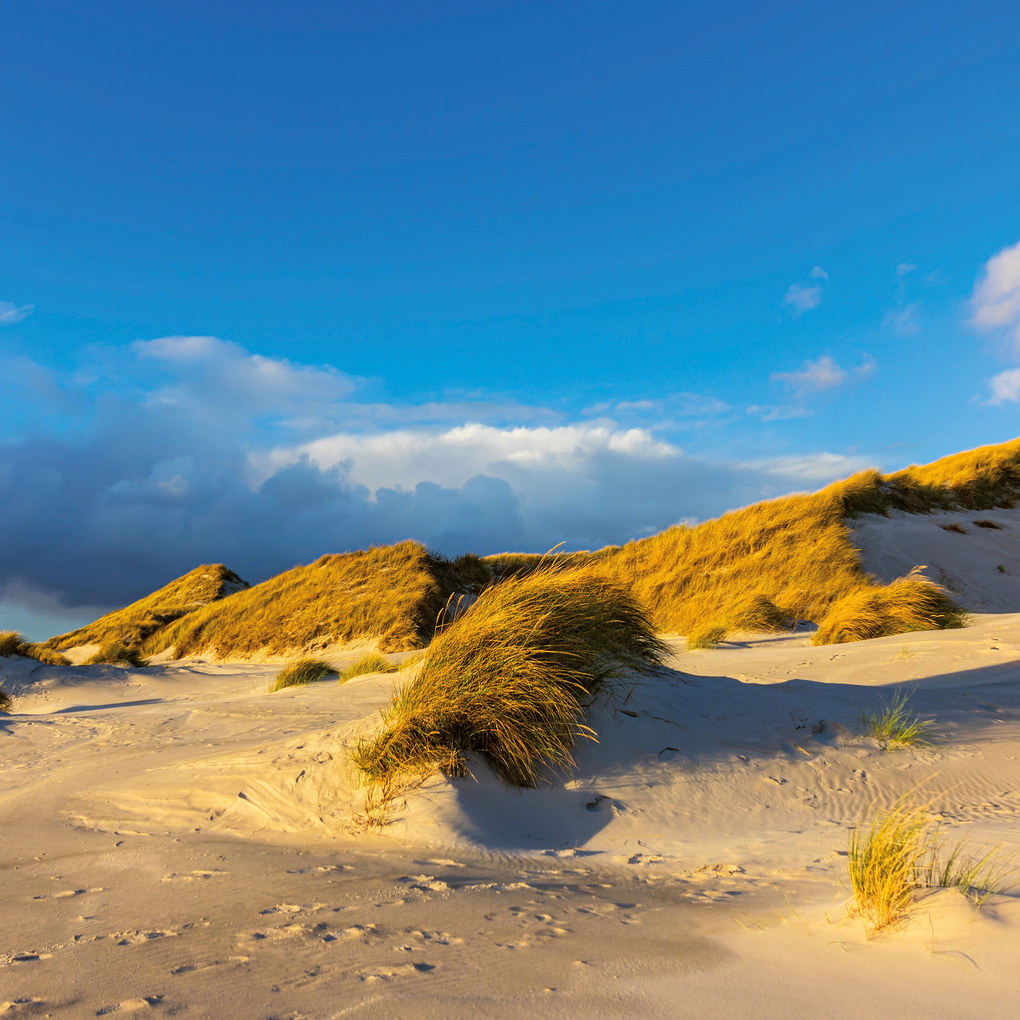 Weitere Ansicht: Nordsee / Northern Sea 2027