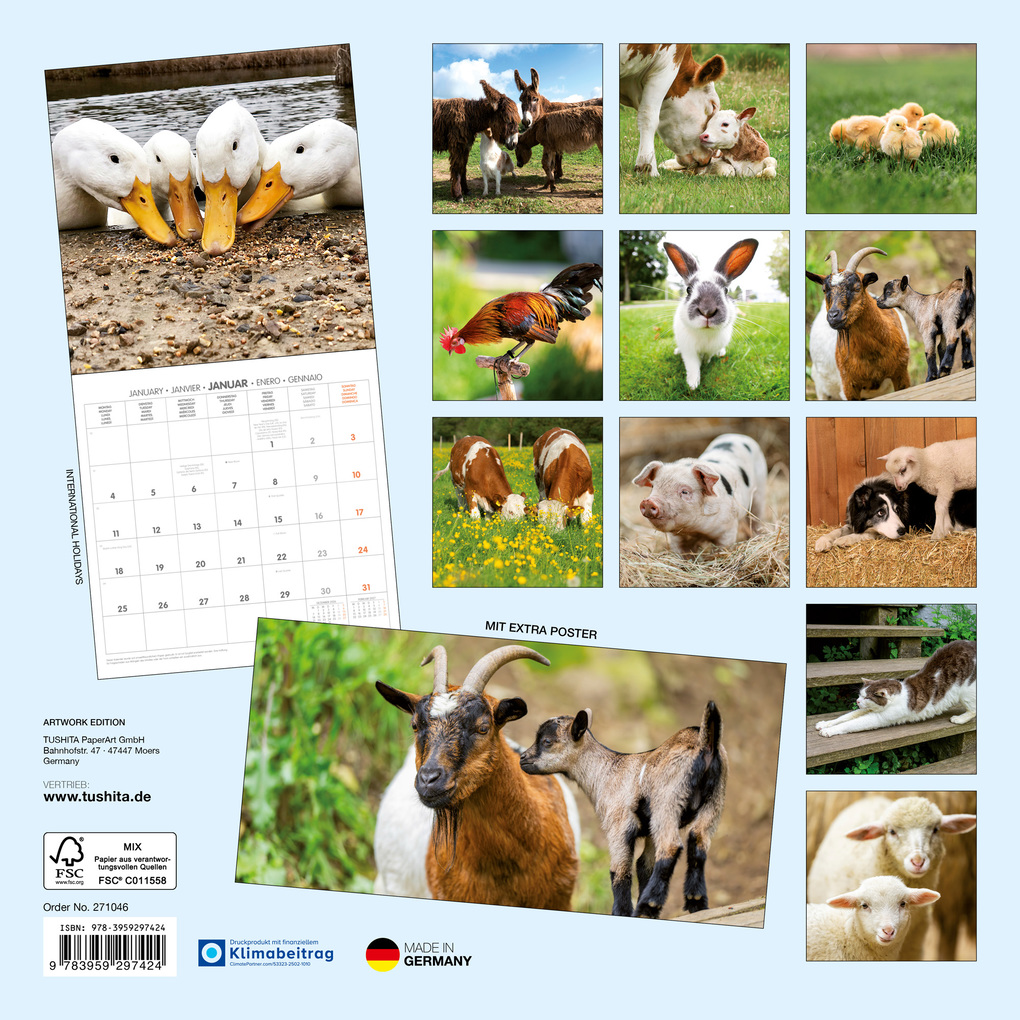 Weitere Ansicht: Tiere vom Bauernhof / Farm Animals 2027