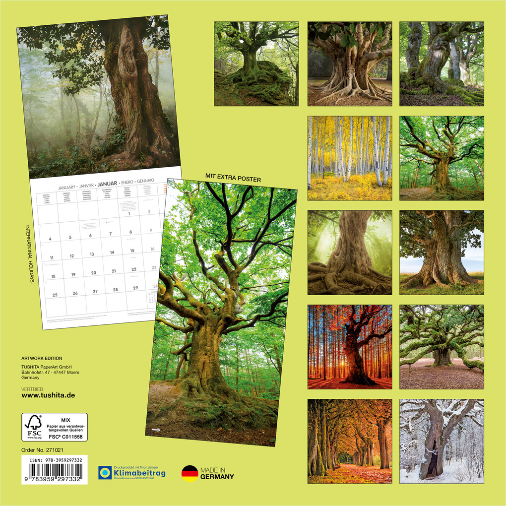 Weitere Ansicht: Die Kraft der Bäume / The Power of Trees 2027