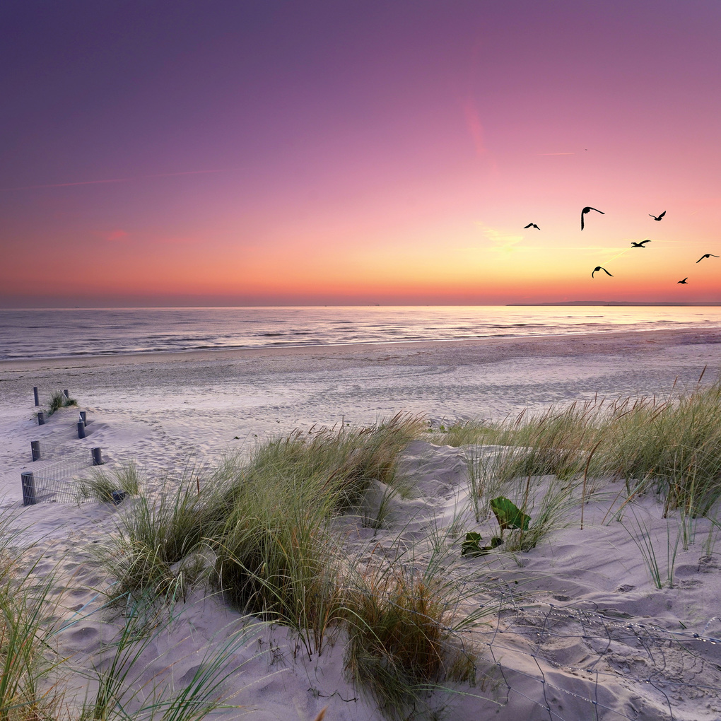 Weitere Ansicht: Strand und Meer / Beach and Sea 2027