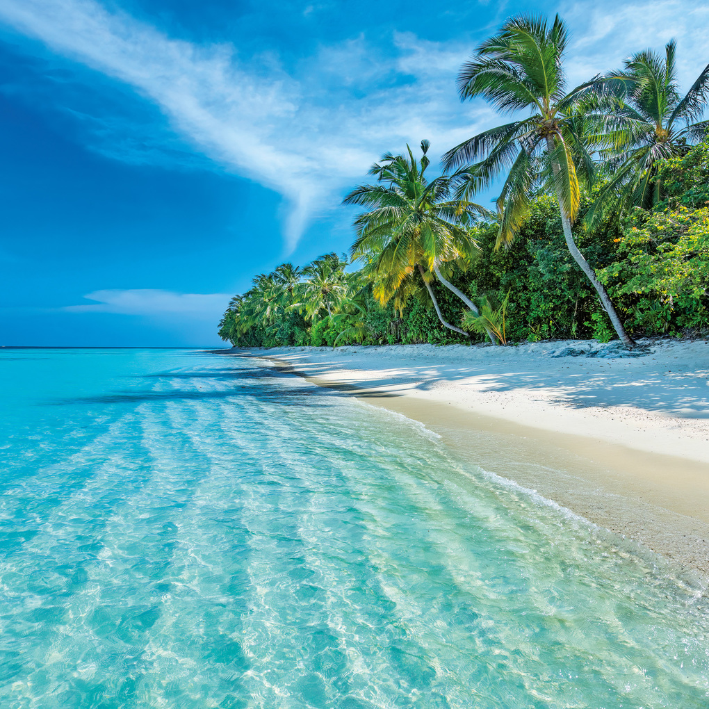 Weitere Ansicht: Strand und Meer / Beach and Sea 2027