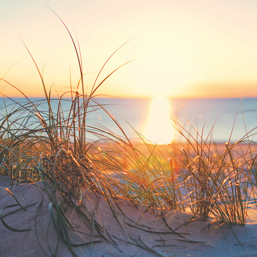 Weitere Ansicht: Strand und Meer / Beach and Sea 2027