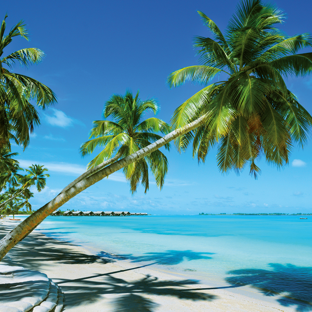 Weitere Ansicht: Strand und Meer / Beach and Sea 2027