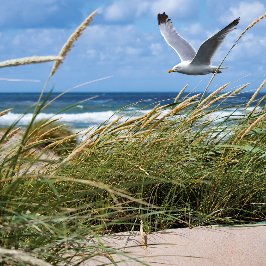 Weitere Ansicht: Strand und Meer / Beach and Sea 2027