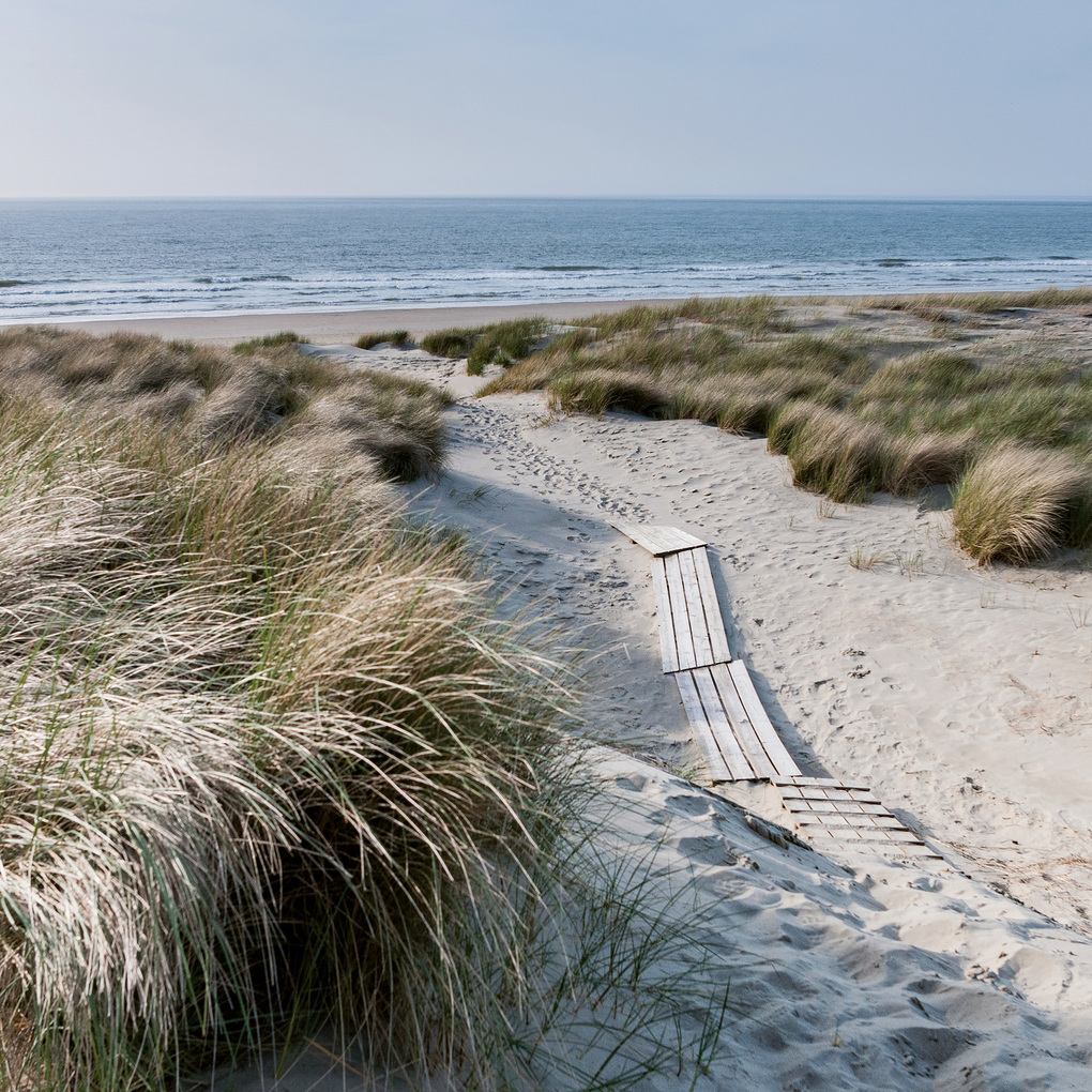 Weitere Ansicht: Strand und Meer / Beach and Sea 2027