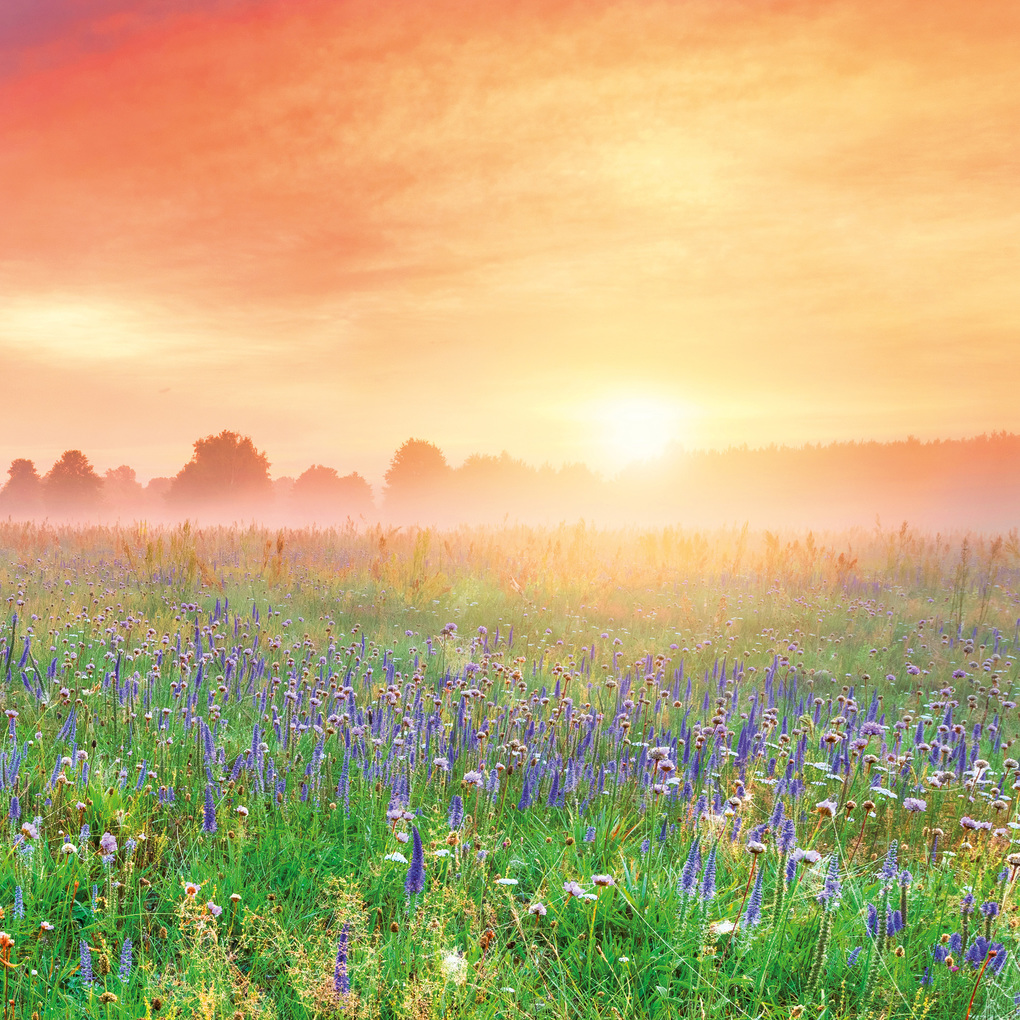 Weitere Ansicht: Die Sonne geht auf / Sunrise 2027