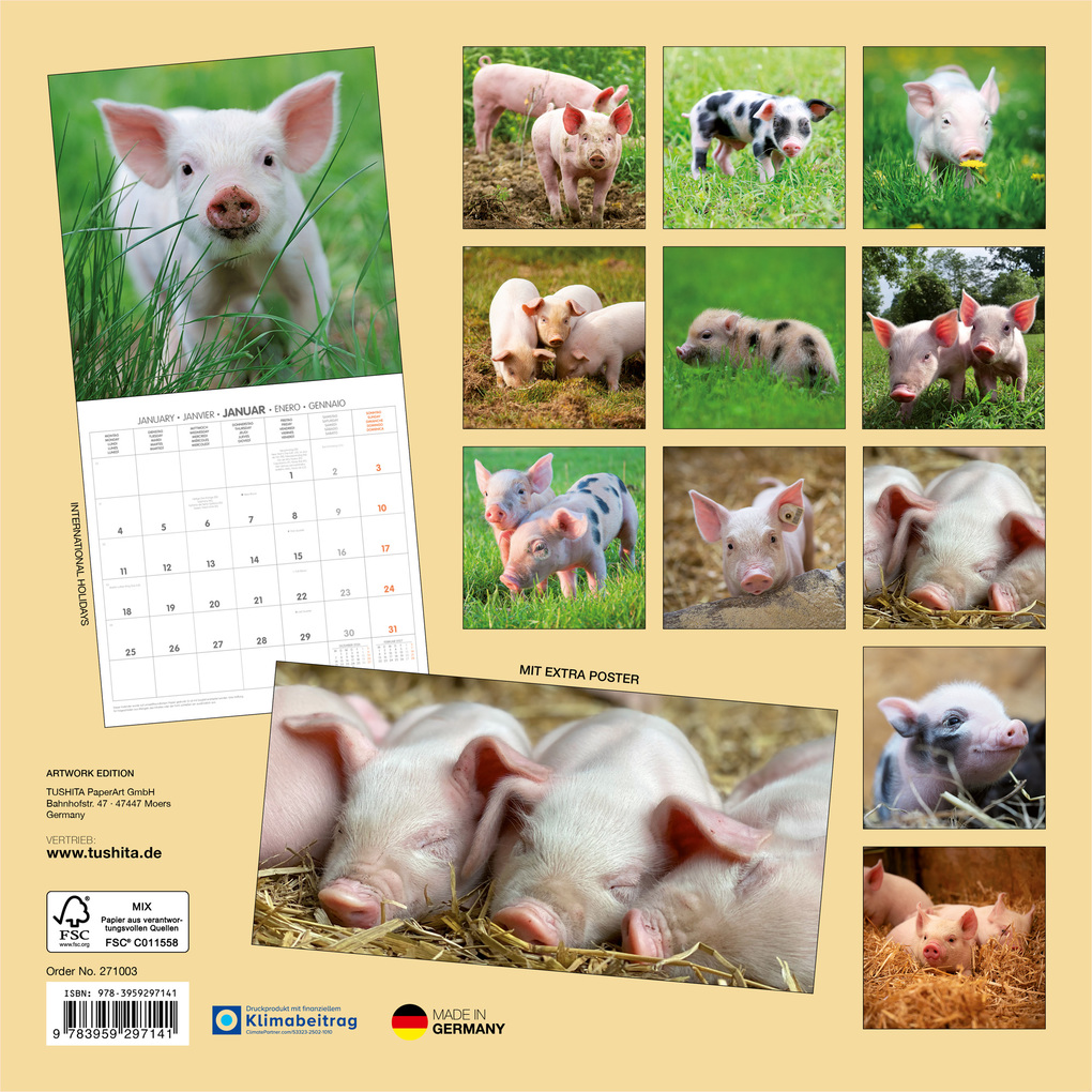 Weitere Ansicht: Schweinchen / Piggies 2027