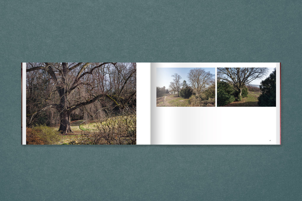 Weitere Ansicht: Denkmalunwürdig