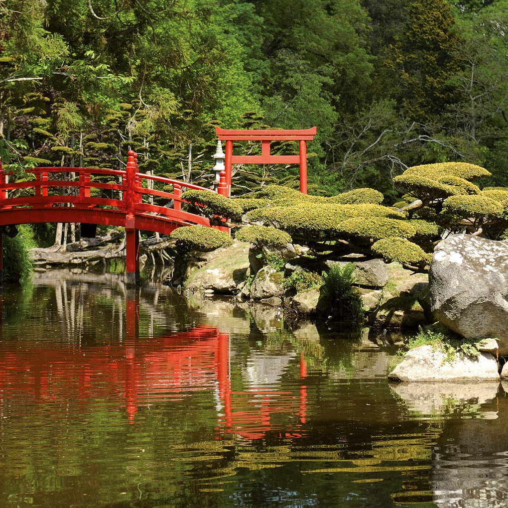 Weitere Ansicht: Japanese Garden 2027