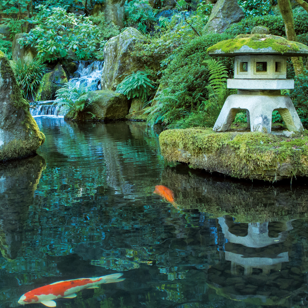 Weitere Ansicht: Japanese Garden 2027