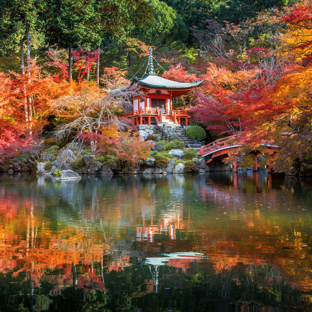 Weitere Ansicht: Japanese Garden 2027