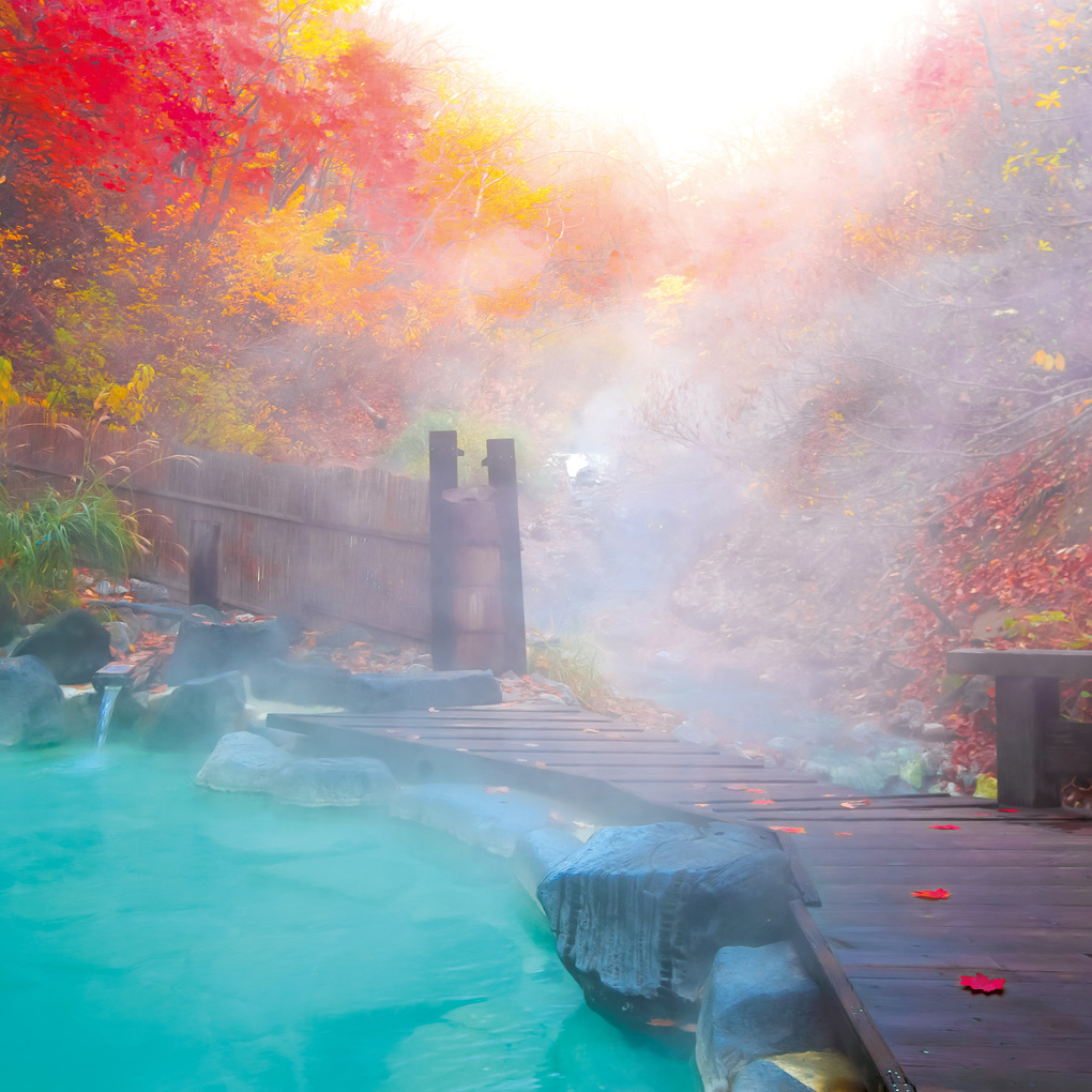 Weitere Ansicht: Japanese Garden 2027