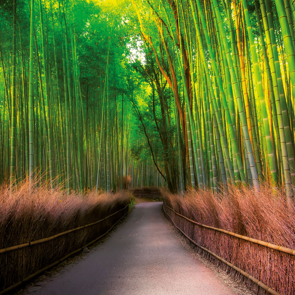 Weitere Ansicht: Inside Japan 2027