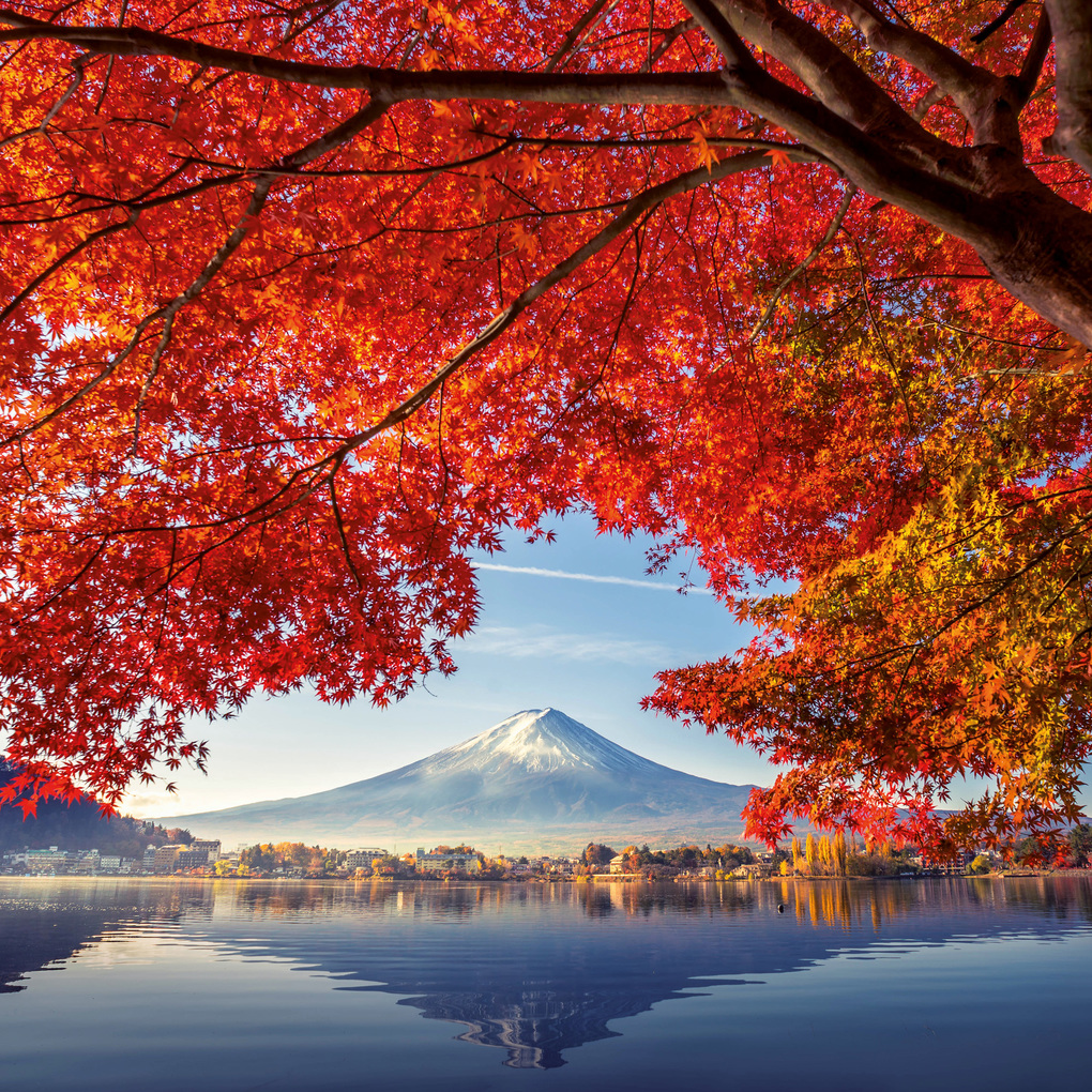 Weitere Ansicht: Inside Japan 2027