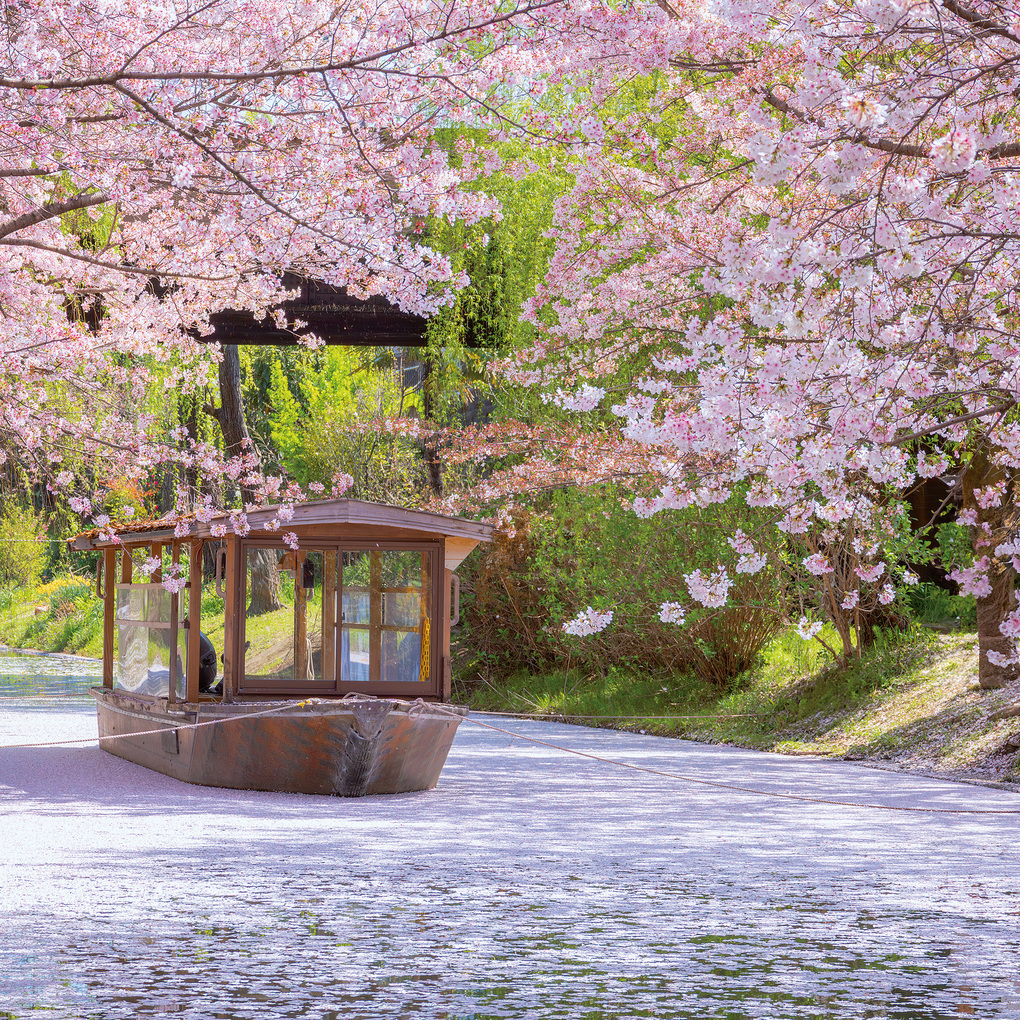 Weitere Ansicht: Inside Japan 2027