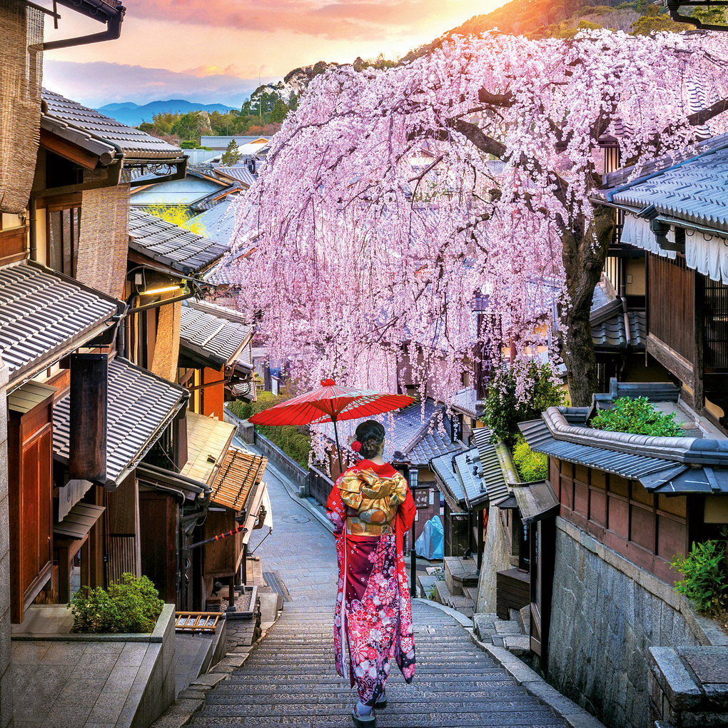 Weitere Ansicht: Inside Japan 2027