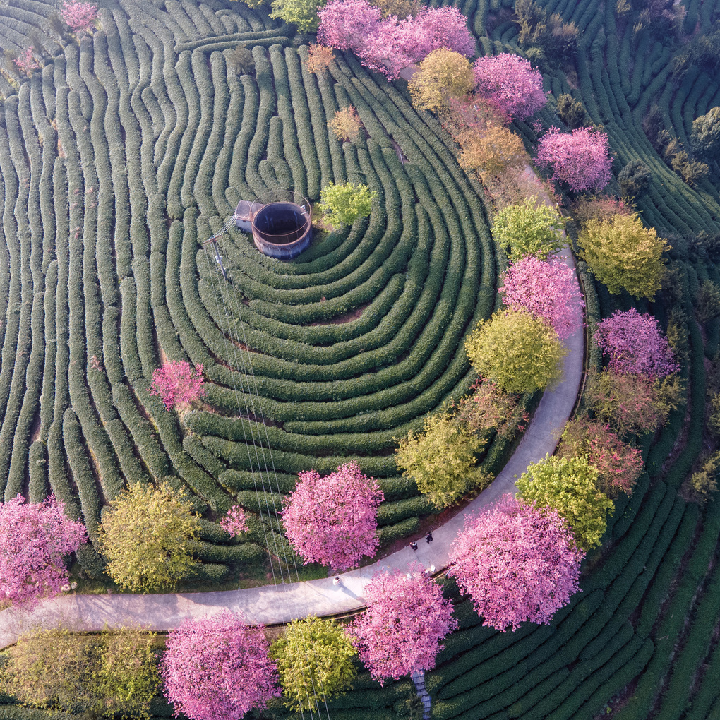 Weitere Ansicht: Inside Japan 2027