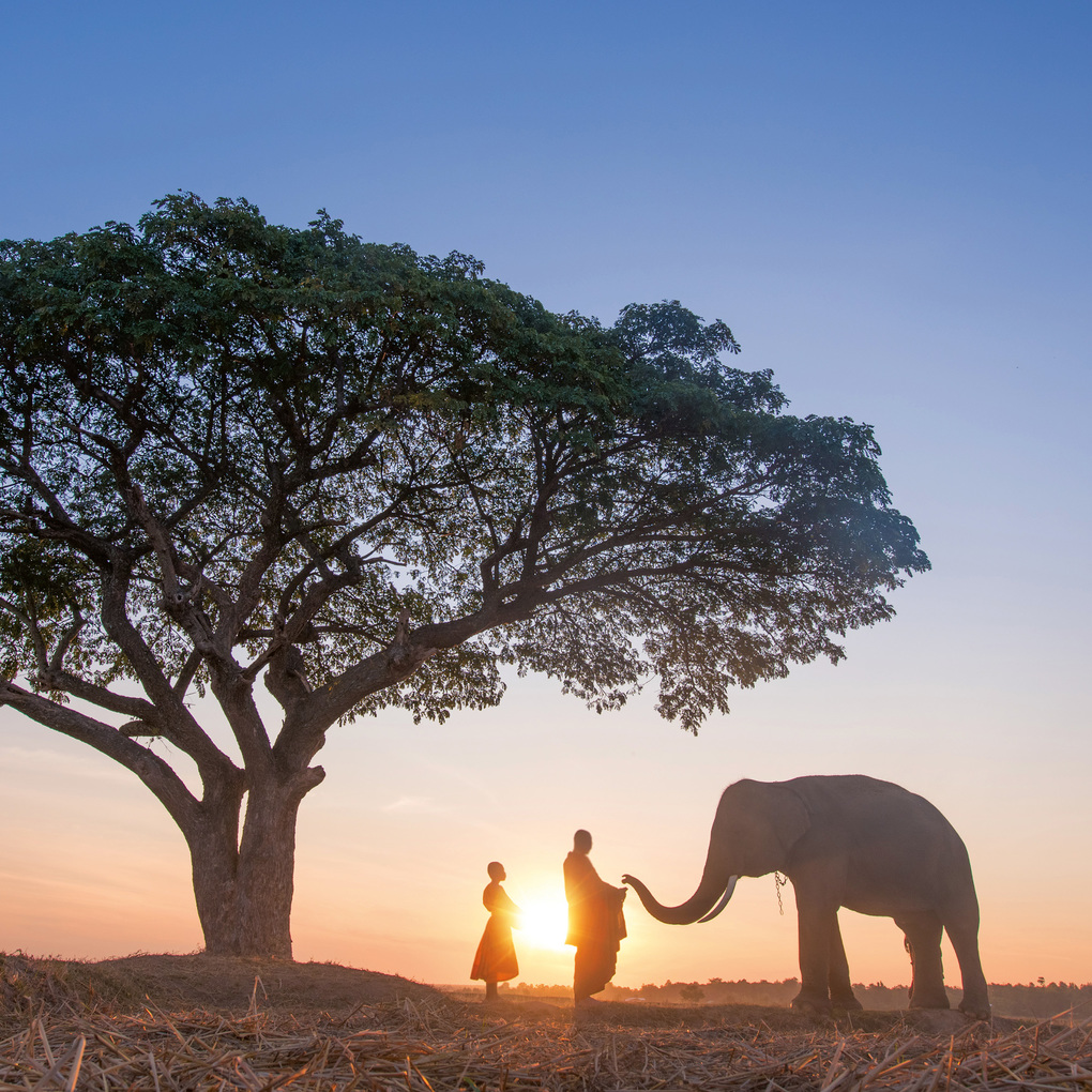 Weitere Ansicht: Buddha's Footprints 2027