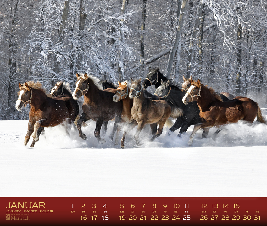 Weitere Ansicht: Marbach 2027